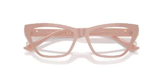 Jimmy Choo Eyeglasses JC3014