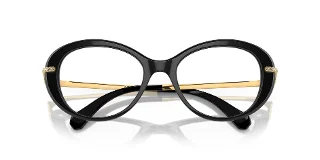 Swarovski Eyeglasses SK2001