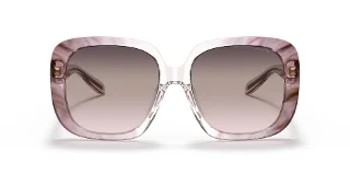 Coach Sunglasses HC8323U