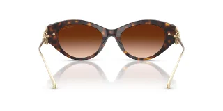 Ralph Lauren Sunglasses RL8227U