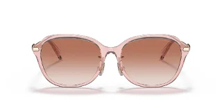 Coach Sunglasses HC8332D