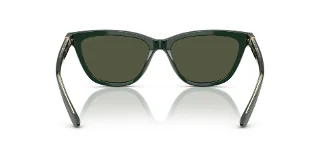 Giorgio Armani Sunglasses AR8221