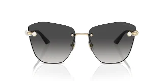 Jimmy Choo Sunglasses JC4004HB
