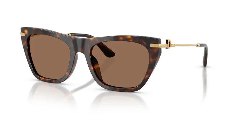 Dolce & Gabbana Sunglasses DG4511