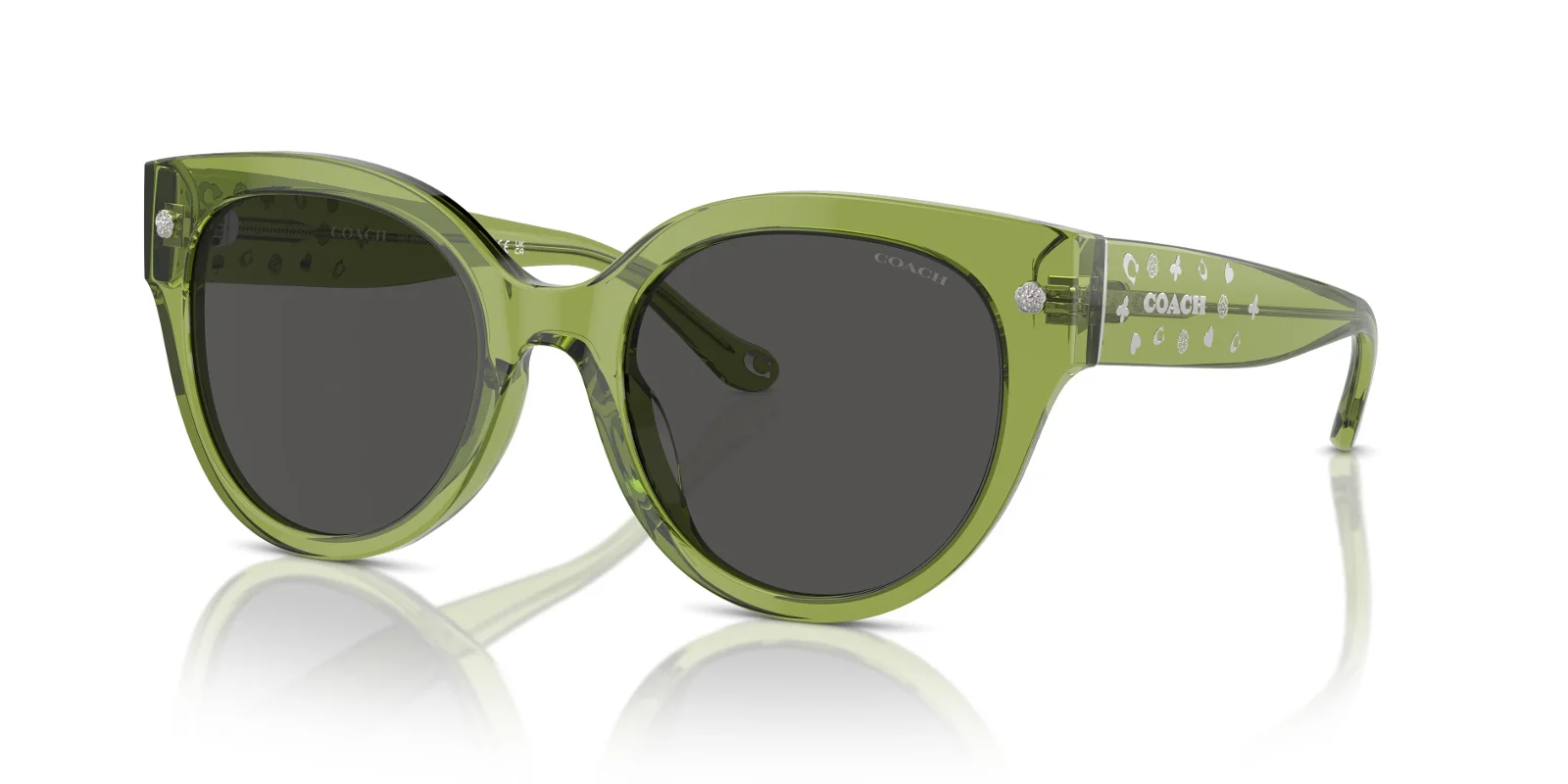 Coach Sunglasses HC8393U