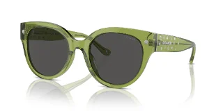 Coach Sunglasses HC8393U
