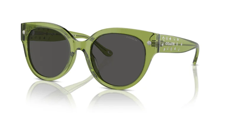 Coach Sunglasses HC8393U