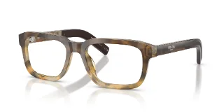21P1O1 Oak Trotoise Gradient