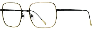 C03 Gold/Black