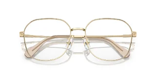 Swarovski Eyeglasses SK1009D