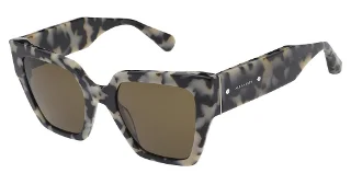 121-Als-5018 Sun Bibi Snow Leopard