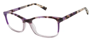 PUR Purple Tortoise