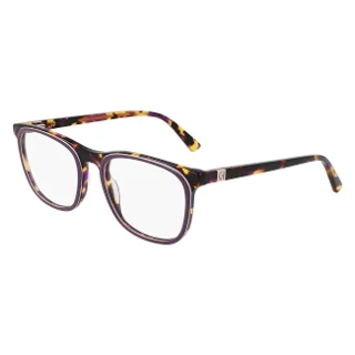 505 Plum Tortoise