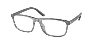 5407 Shiny Transparent Grey