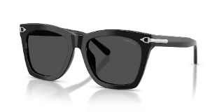 Ralph Lauren Sunglasses RL8235U