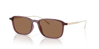 648773 Transparent Burgundy