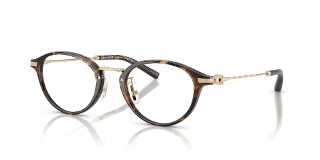 5120 Dark Tortoise