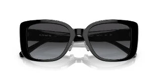 Coach Sunglasses HC8352