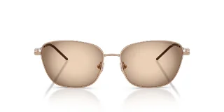 Emporio Armani Sunglasses EA2170
