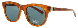 243 Honey Tortoise