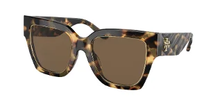147473 Tokyo Tortoise