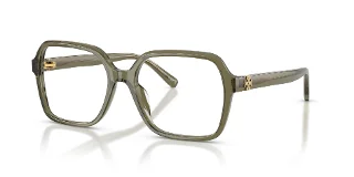 2085 Transparent Olive