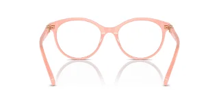 Swarovski Eyeglasses SK2019F