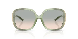 Coach Sunglasses HC8423U
