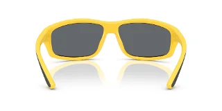 Polo Sunglasses PH4227U