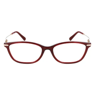 Salvatore Ferragamo Eyeglasses SF2900A
