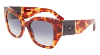 609 Red Tortoise