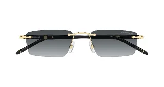 Montblanc Sunglasses MB0484S