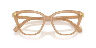 Swarovski Eyeglasses SK2045F