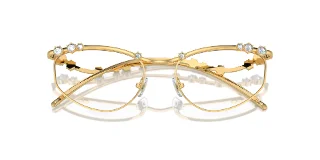 Swarovski Eyeglasses SK1015