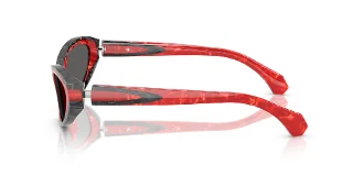 Alain Mikli Sunglasses A05513