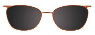 Easyclip Eyeglasses EC557
