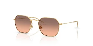 Ray Ban Sunglasses RJ9594S