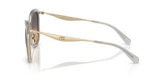 Coach Sunglasses HC7170