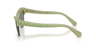 Swarovski Sunglasses SK6043