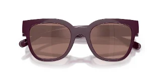 Coach Sunglasses HC8460U