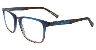John Varvatos Eyeglasses V373