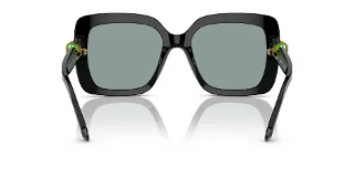 Swarovski Sunglasses SK6001F