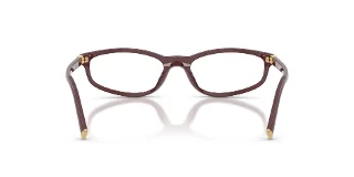 Miu Miu Eyeglasses MU01ZV