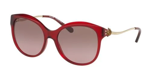 Coach Sunglasses HC8189 L1610