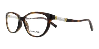 3046 Tortoise