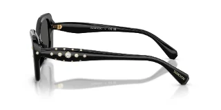 Swarovski Sunglasses SK6058U