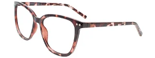 010 Pink Tortoise
