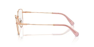 Swarovski Eyeglasses SK1012
