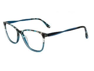 C2 Teal Tortoise