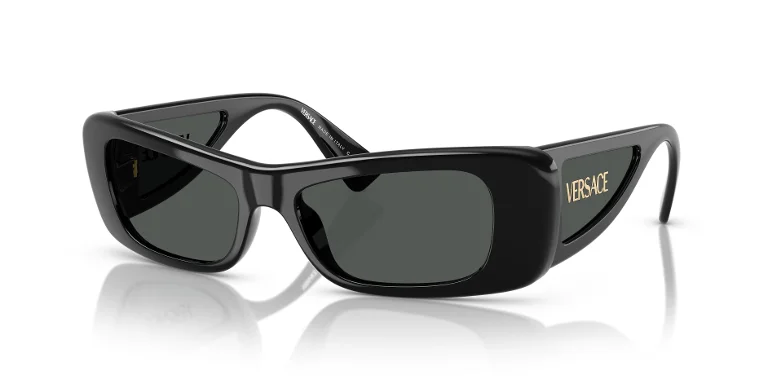 Versace Sunglasses VE4481
